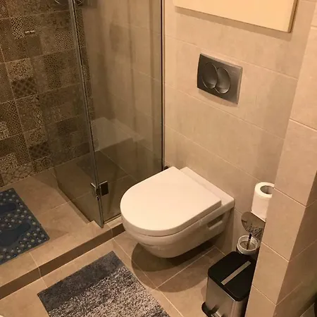 Dragisic Kalman J15,d8 *